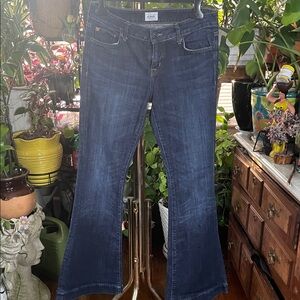 Hudson Jeans Dark Blue Flare Jeans